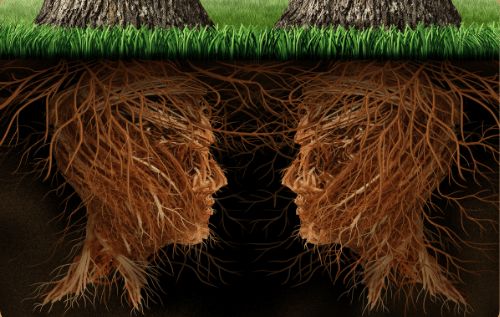 roots of love