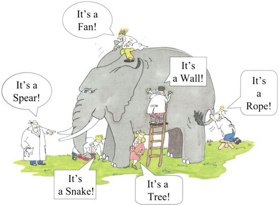 NLP Principle